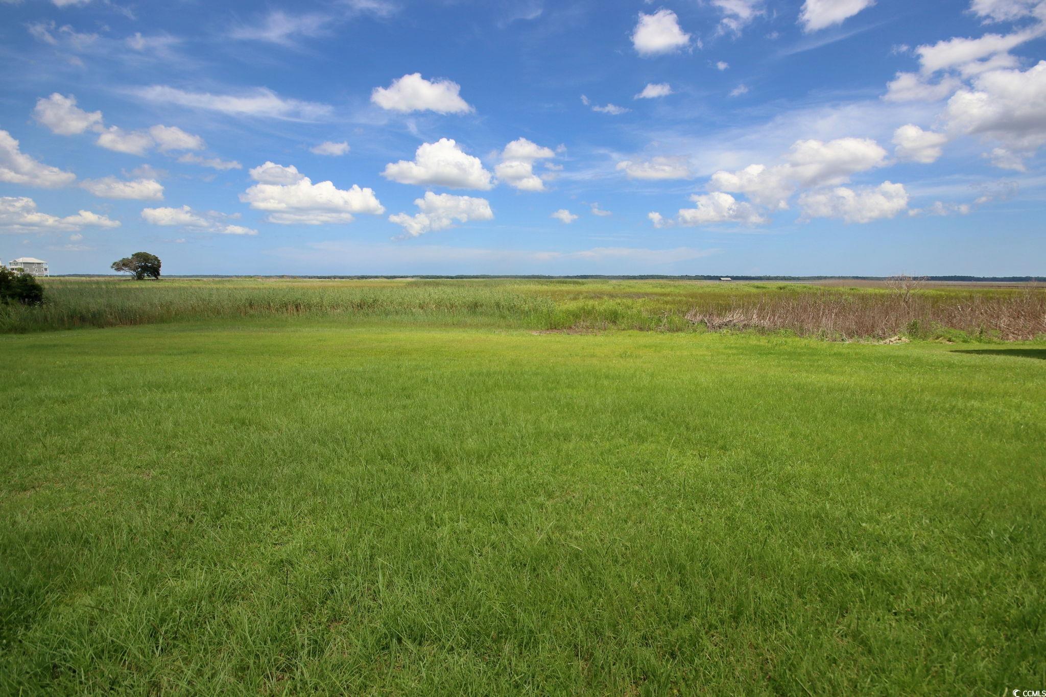 2 Oak Bay Drive Georgetown, SC 29440 - Photo 6 of 6 View of undeveloped land featuring rural landscape