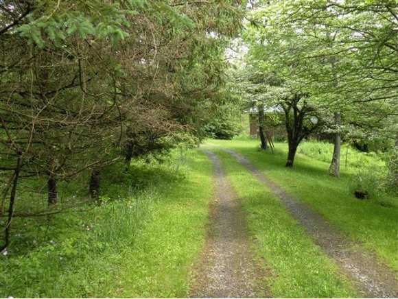 682 King Road Greene, NY 13778 - Photo 15 of 24 Gallery Image 15