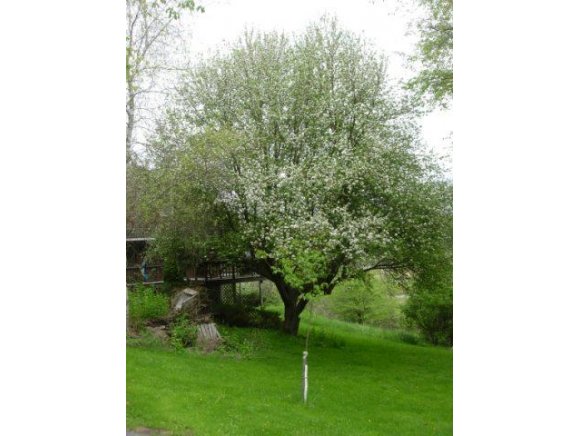 682 King Road Greene, NY 13778 - Photo 17 of 24 Gallery Image 17