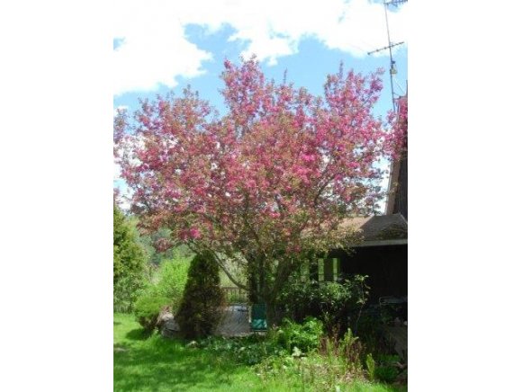 682 King Road Greene, NY 13778 - Photo 18 of 24 Gallery Image 18