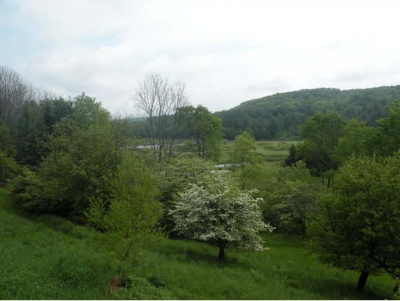 682 King Road Greene, NY 13778 - Photo 2 of 24 Gallery Image 2
