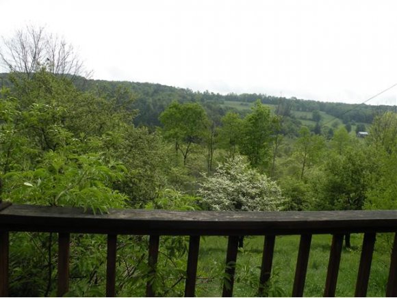 682 King Road Greene, NY 13778 - Photo 3 of 24 Gallery Image 3