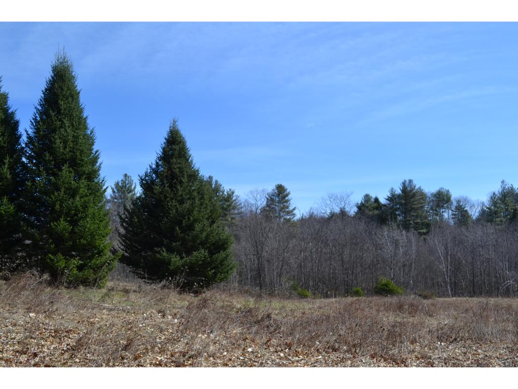 South Road Hopkinton, NH 03229 - Photo 3 of 11