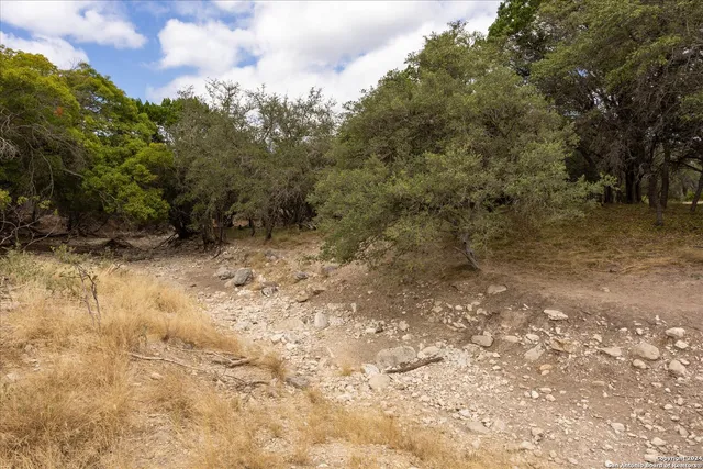 $1,500,000 | Undisclosed Address, Camp Wood, TX 78833