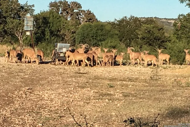 $1,500,000 | Undisclosed Address, Camp Wood, TX 78833