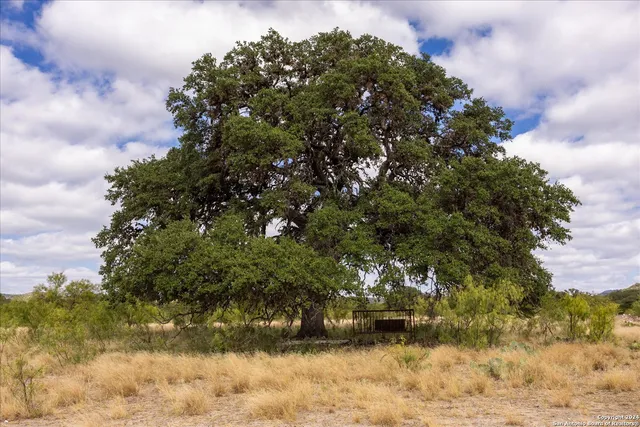 $1,500,000 | Undisclosed Address, Camp Wood, TX 78833