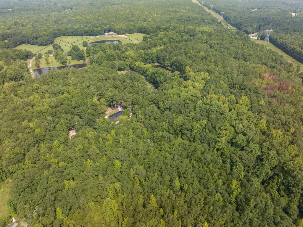276 Waverly Hall Road Box Springs, GA 31801 - Photo 4 of 95
