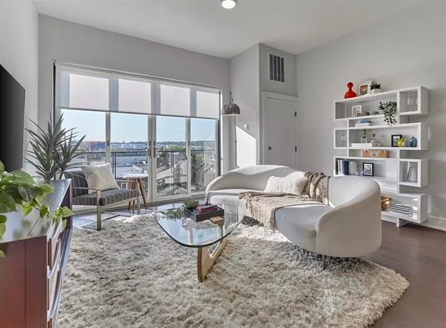 a living room with furniture a rug and a potted plant