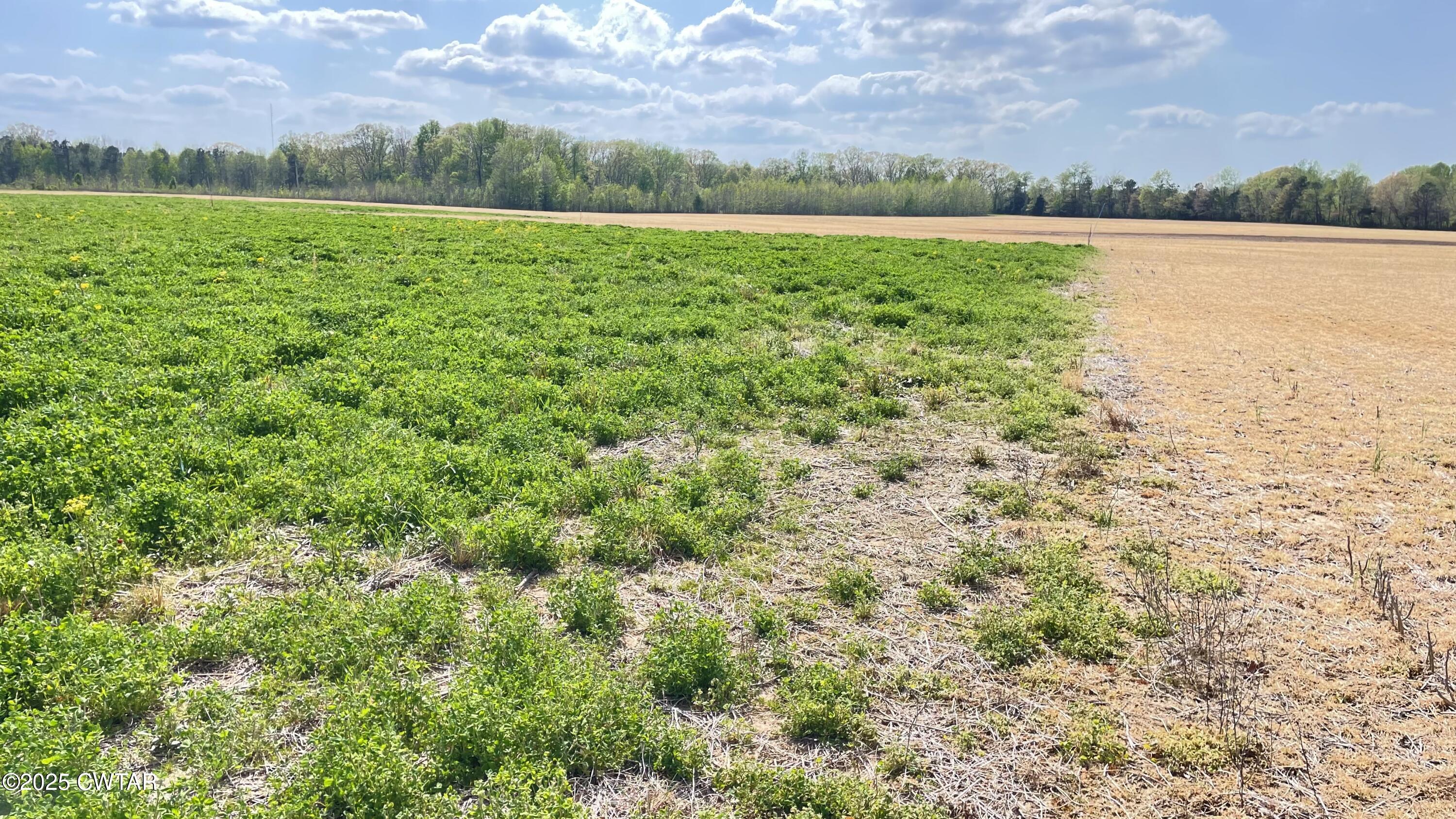 1 Law Road Lexington, TN 38351 - Photo 1 of 2 FullSizeRender