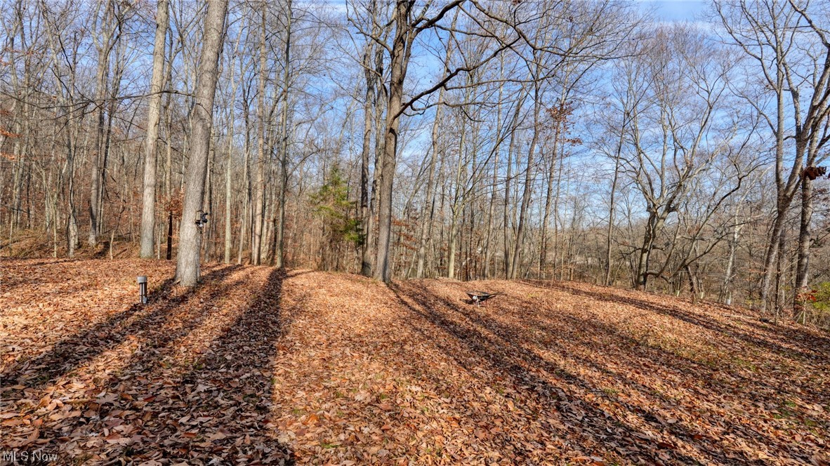 5755 Partridge Trap Road Kimbolton, OH 43749 - Photo 24 of 35 Possible camper hookup