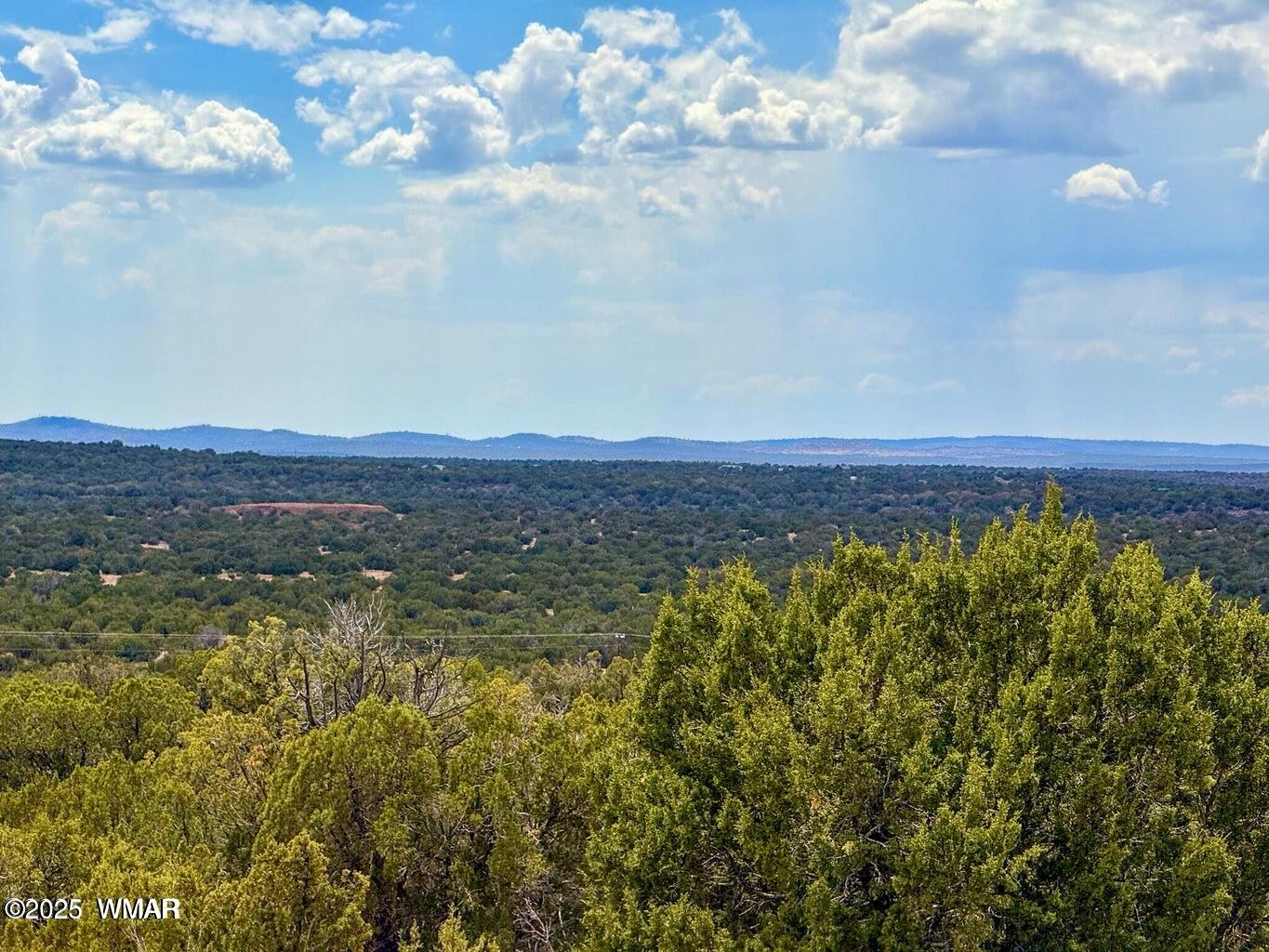0 Weber Road Show Low, AZ 85901 - Photo 20 of 27 IMG_2021