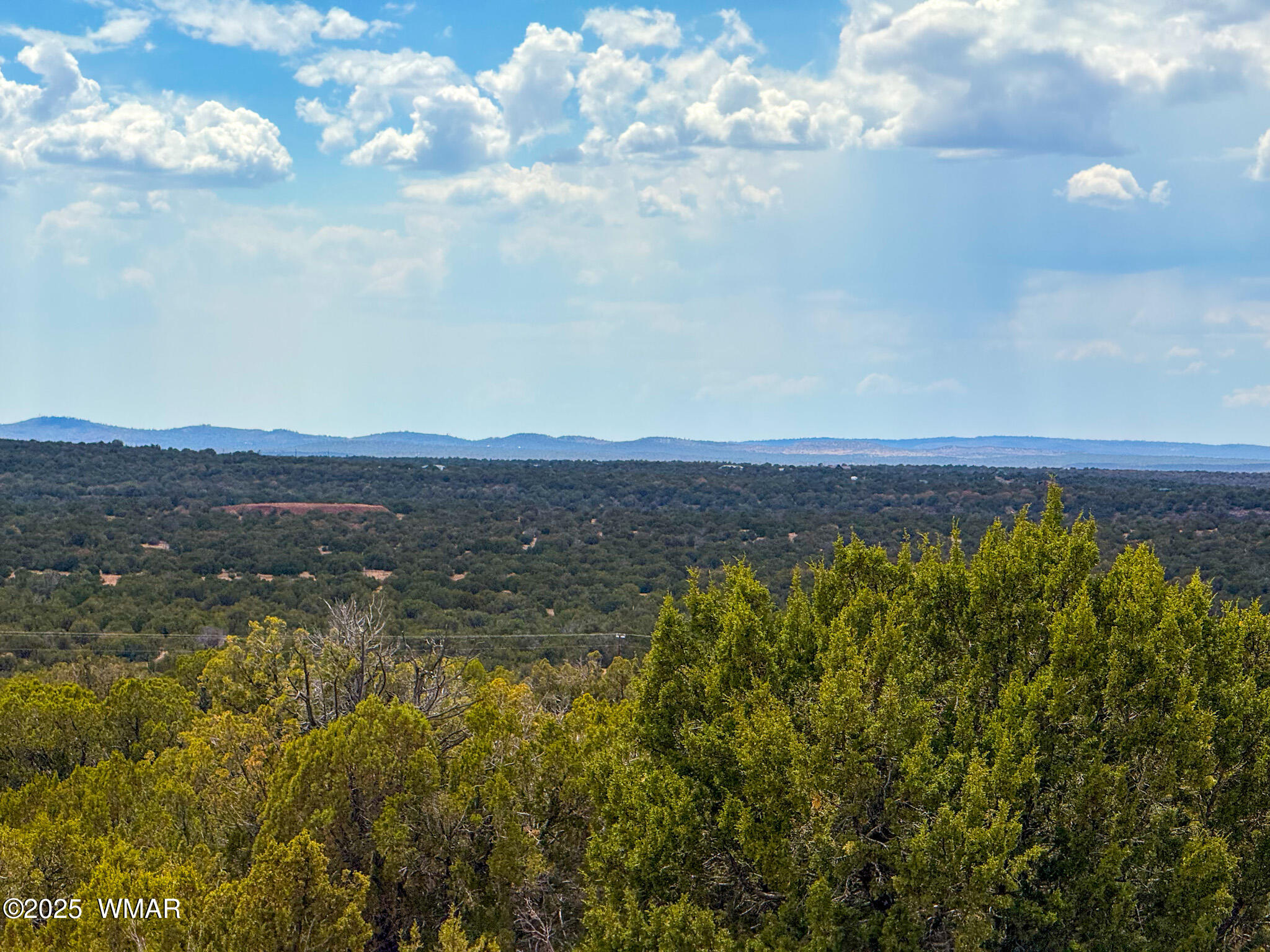 0 Weber Road Show Low, AZ 85901 - Photo 2 of 27 IMG_3785