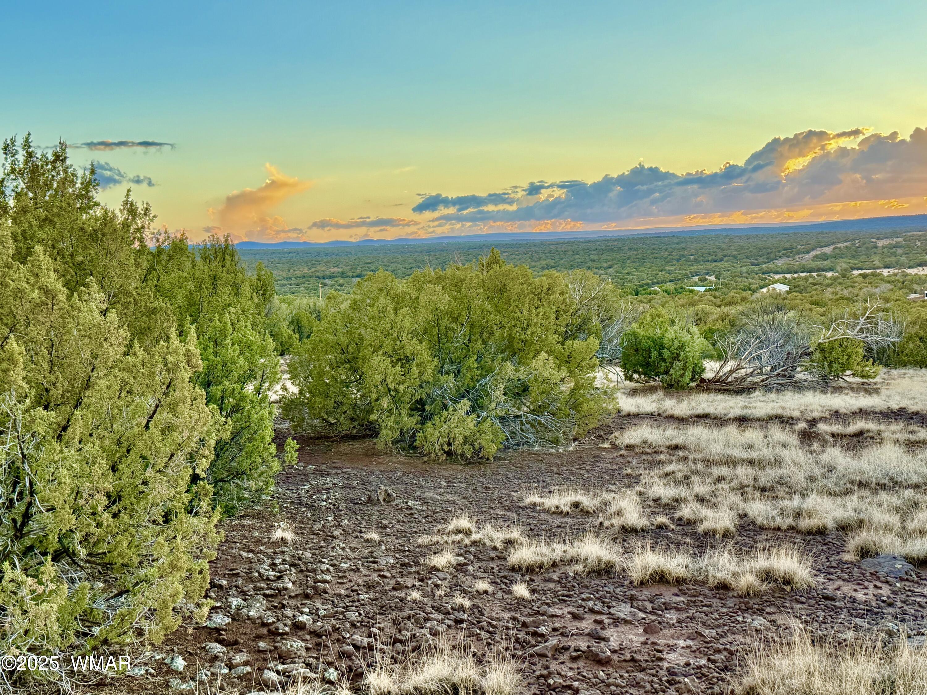 0 Weber Road Show Low, AZ 85901 - Photo 21 of 27 IMG_2143 (1)