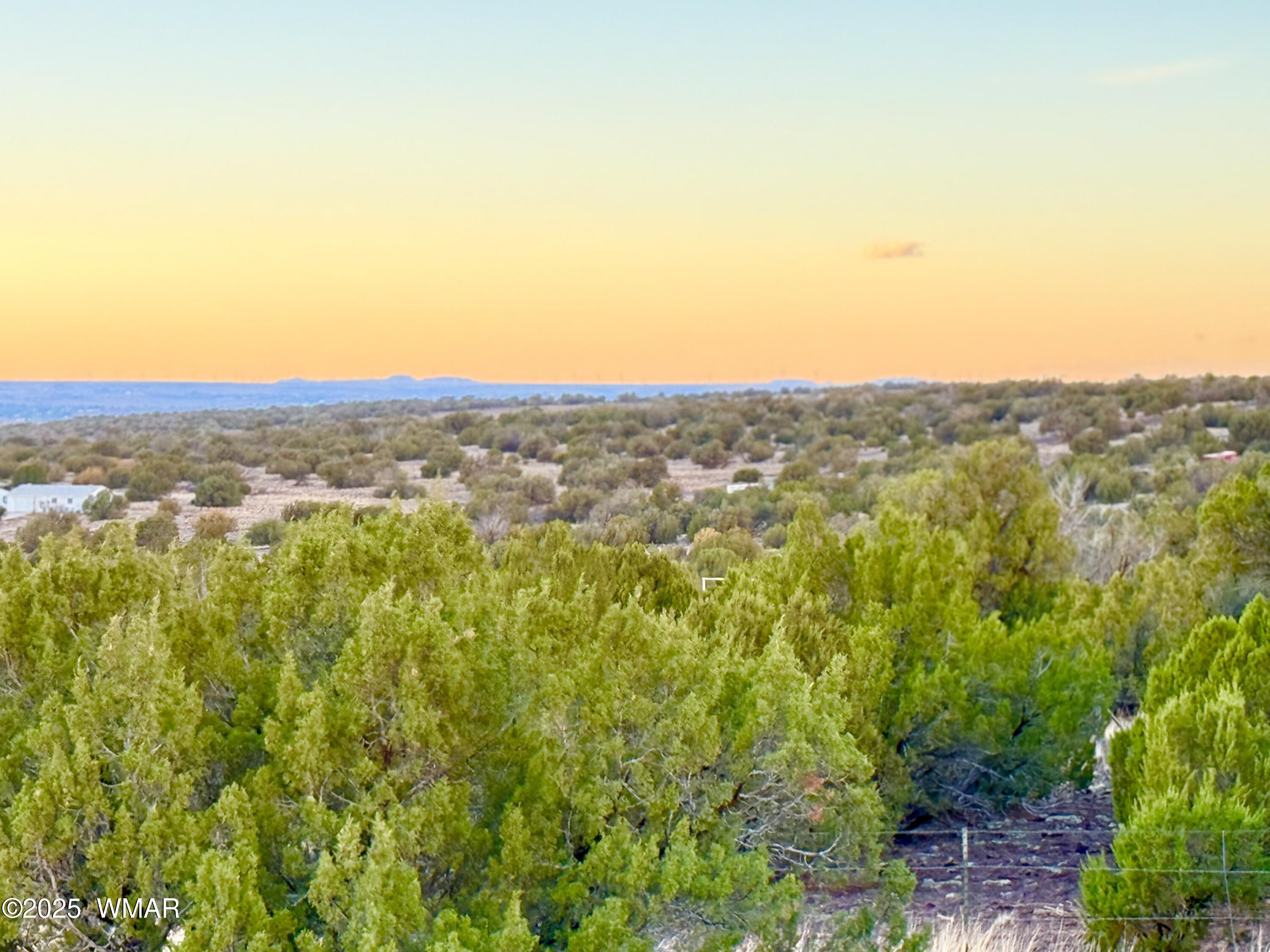 0 Weber Road Show Low, AZ 85901 - Photo 27 of 27 IMG_2132