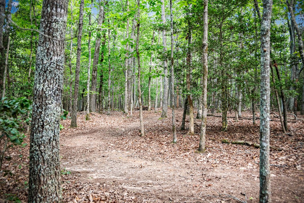 1281 Deavers Road Blairsville, GA 30512 - Photo 76 of 90 Gallery Image 76