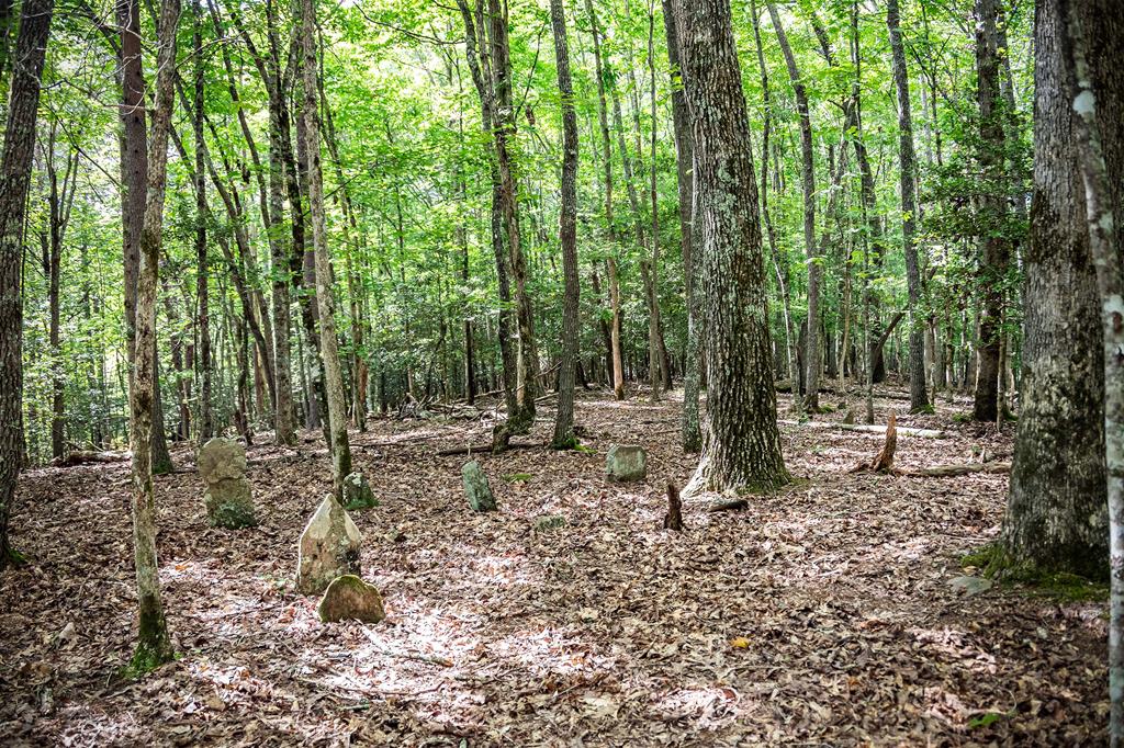 1281 Deavers Road Blairsville, GA 30512 - Photo 78 of 90 Gallery Image 78