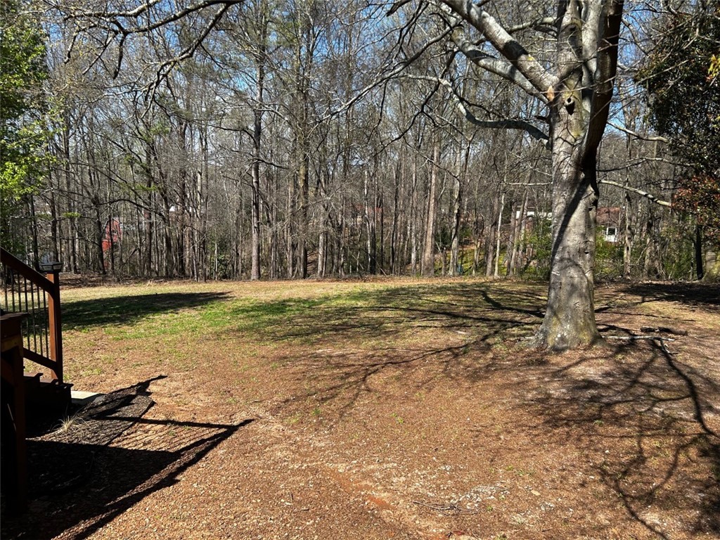 802 Dovetown Road Royston, GA 30662 - Photo 7 of 27