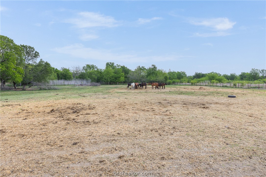 203 Saffle Road Robinson, TX 76706 - Photo 33 of 38