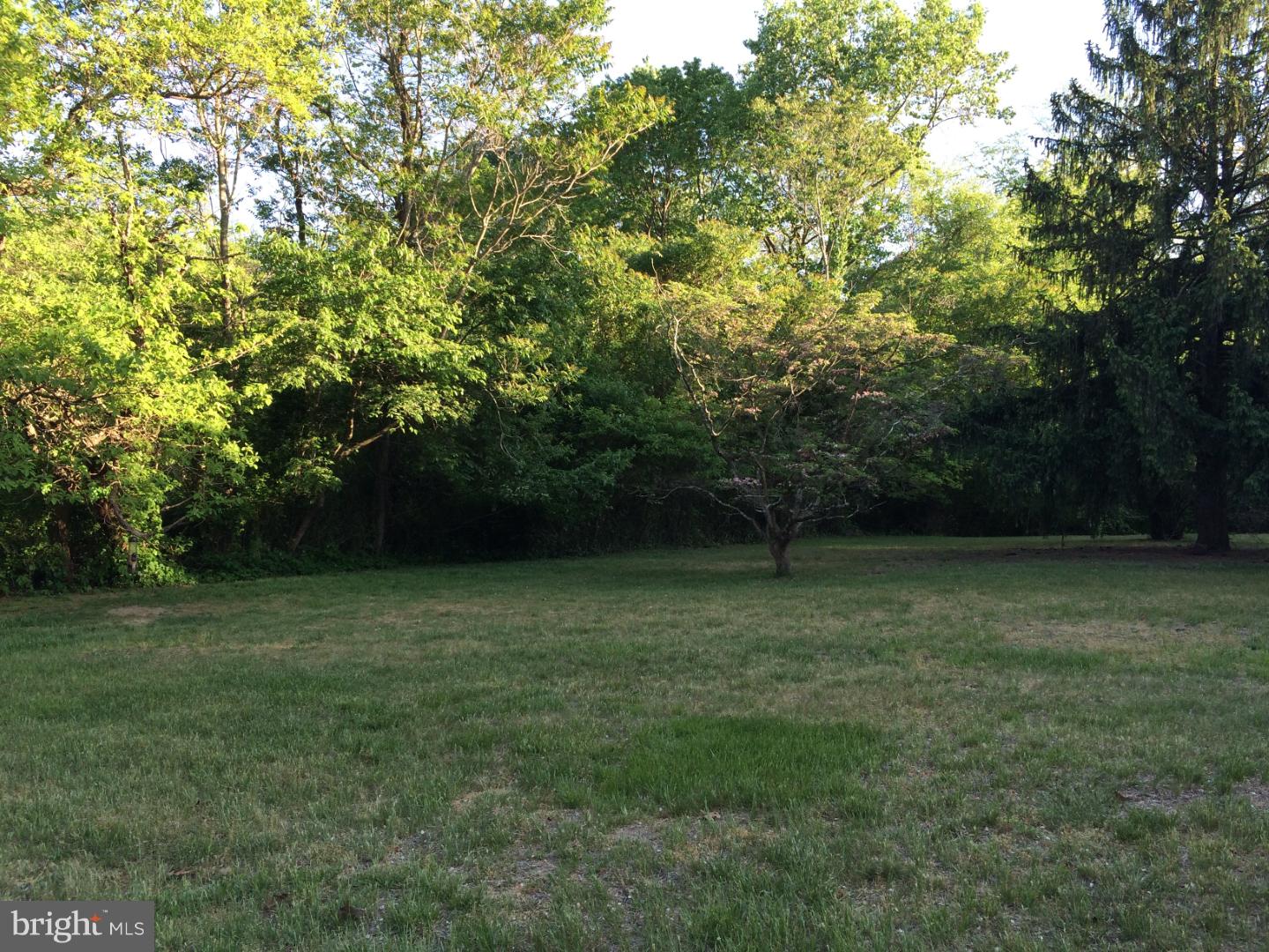 310 Creek Road Moorestown, NJ 08057 - Photo 8 of 10