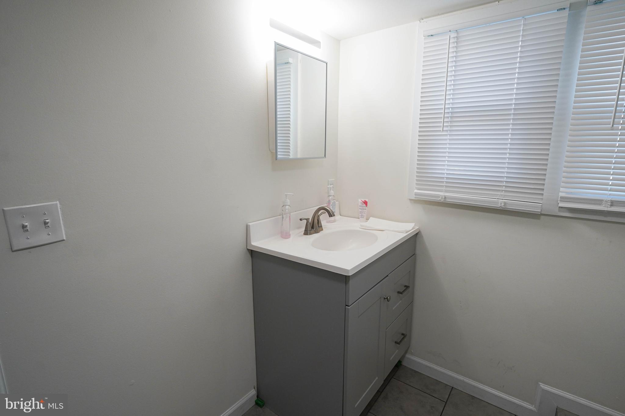 231 Newton Street, Unit B Salisbury, MD 21801 - Photo 19 of 31 a bathroom with a sink and a mirror