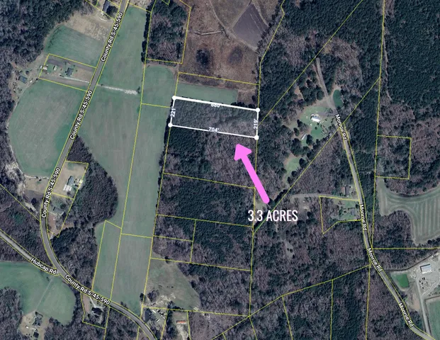 $40,000 | 0 Pinckney Road, Kingstree, SC 29556