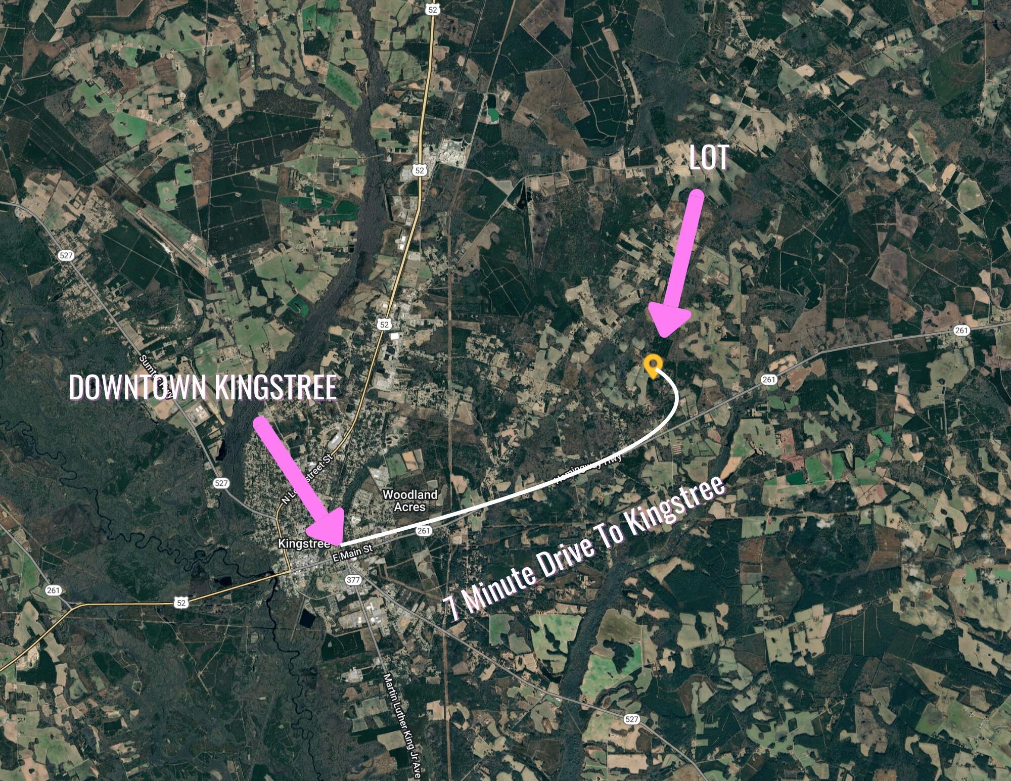 0 Pinckney Road Kingstree, SC 29556 - Photo 2 of 2 Wooded Lot