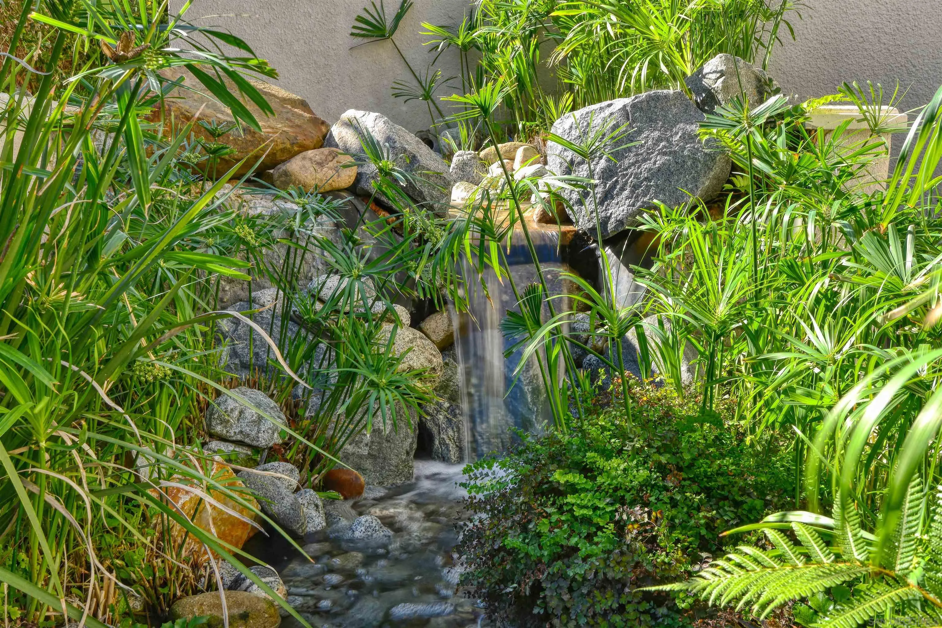 7825 Prospect Place La Jolla, CA 92037 - Photo 12 of 32 a plant with lots of flowers