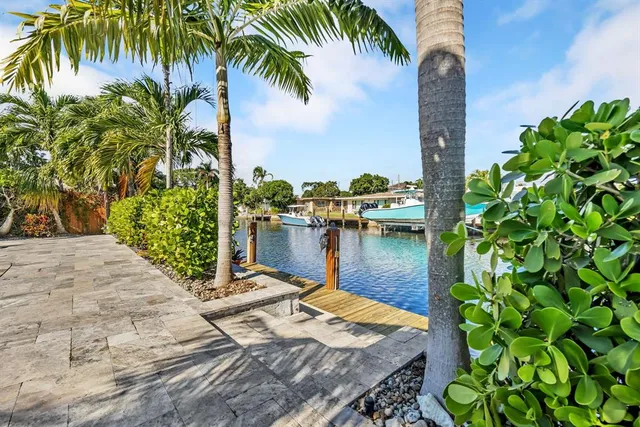 a lake view with palm trees