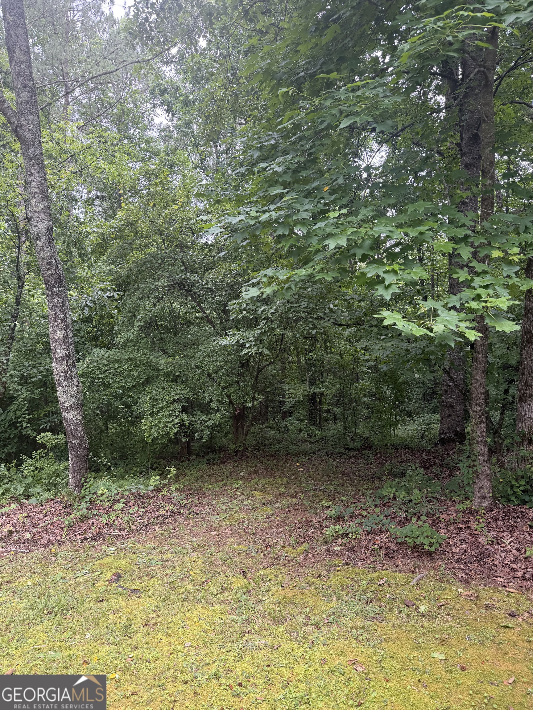 406 Covered Bridge Road Covington, GA 30016 - Photo 40 of 74
