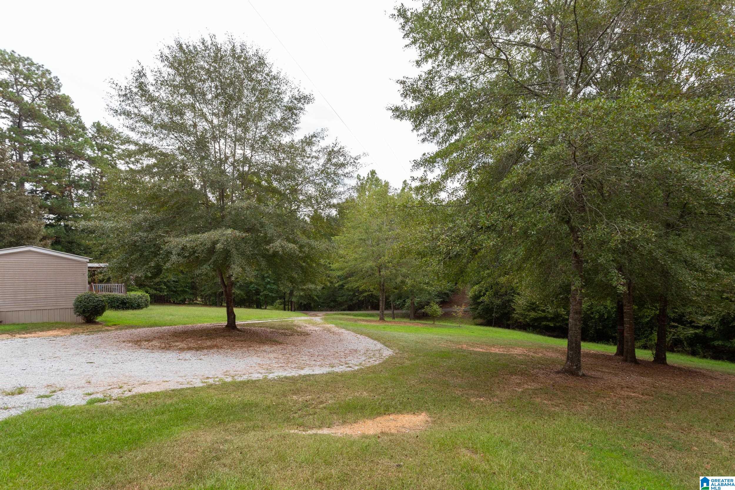 793 Pine Ridge Road Wellington, AL 36279 - Photo 30 of 32