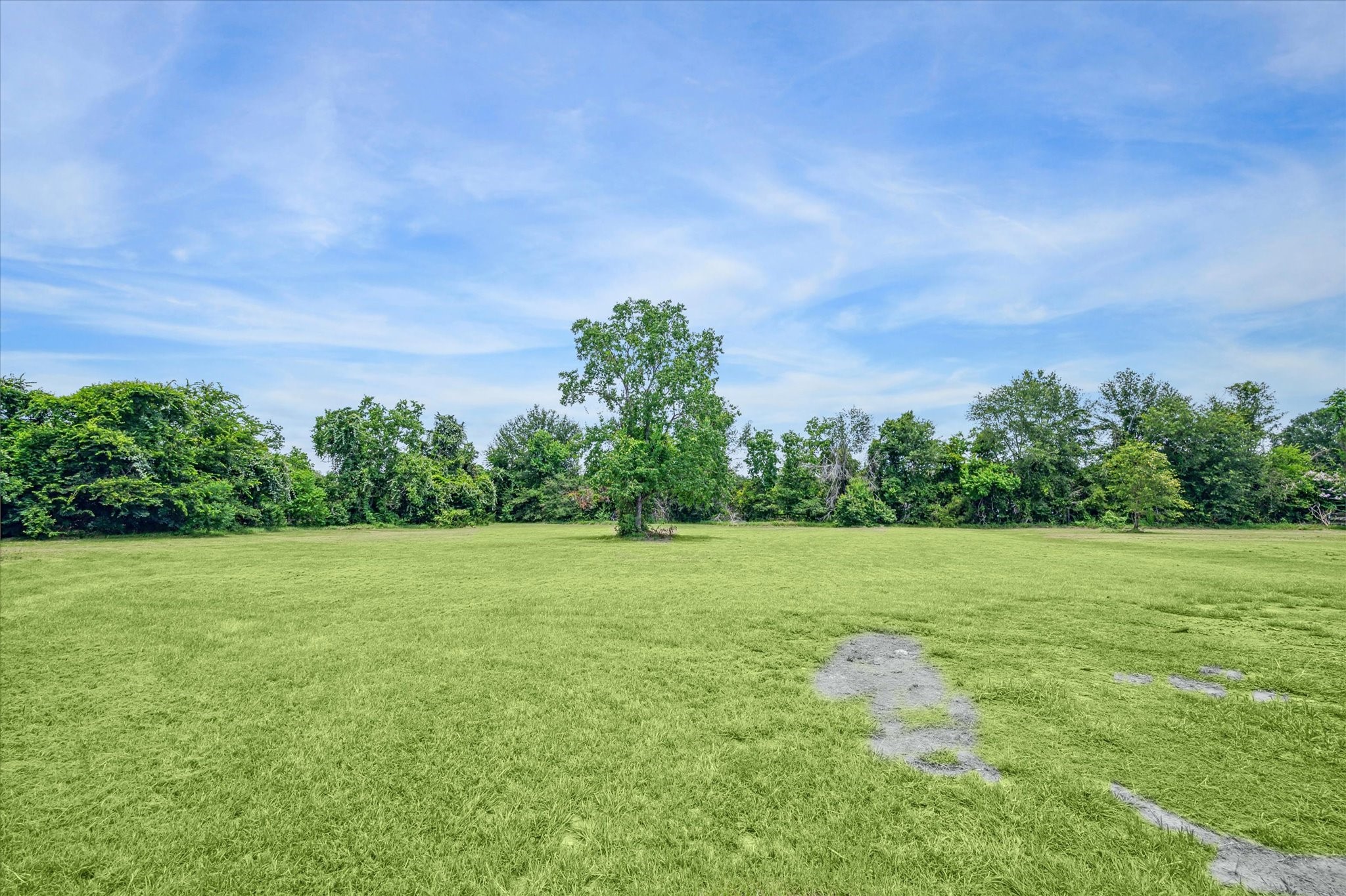 21402 Rosehill Church Road Tomball, TX 77377 - Photo 6 of 7 Open area behind the barn with additional usable space for expansion or outdoor use.