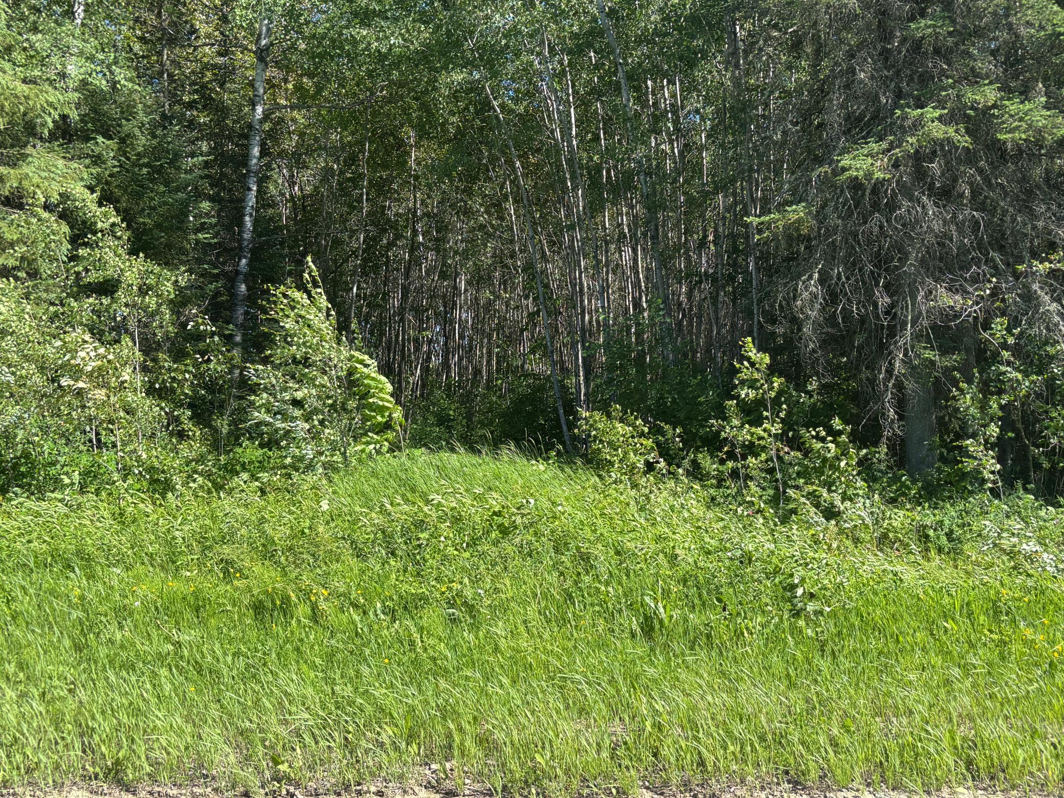 10 County Road Orr, MN 55771 - Photo 6 of 9