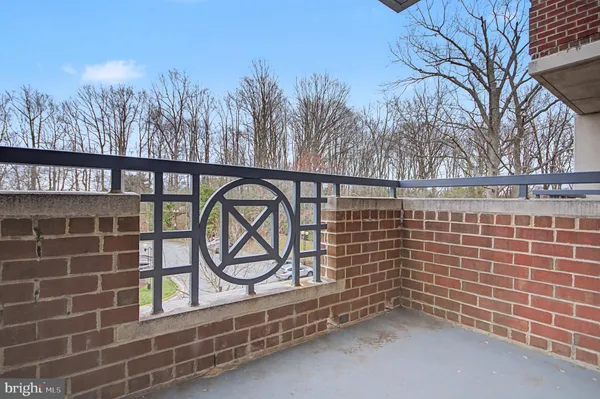 a view of park with large trees