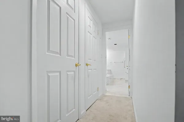 a view of a lake with trees in front of it