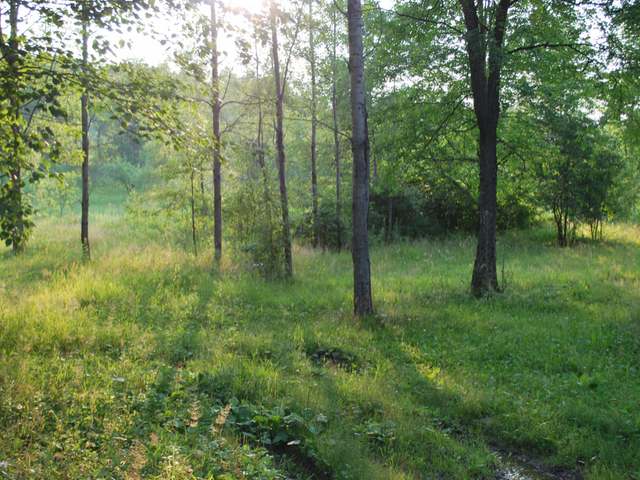 9925 East Sipple Road Crandon, WI 54520 - Photo 5 of 6 Gallery Image 5