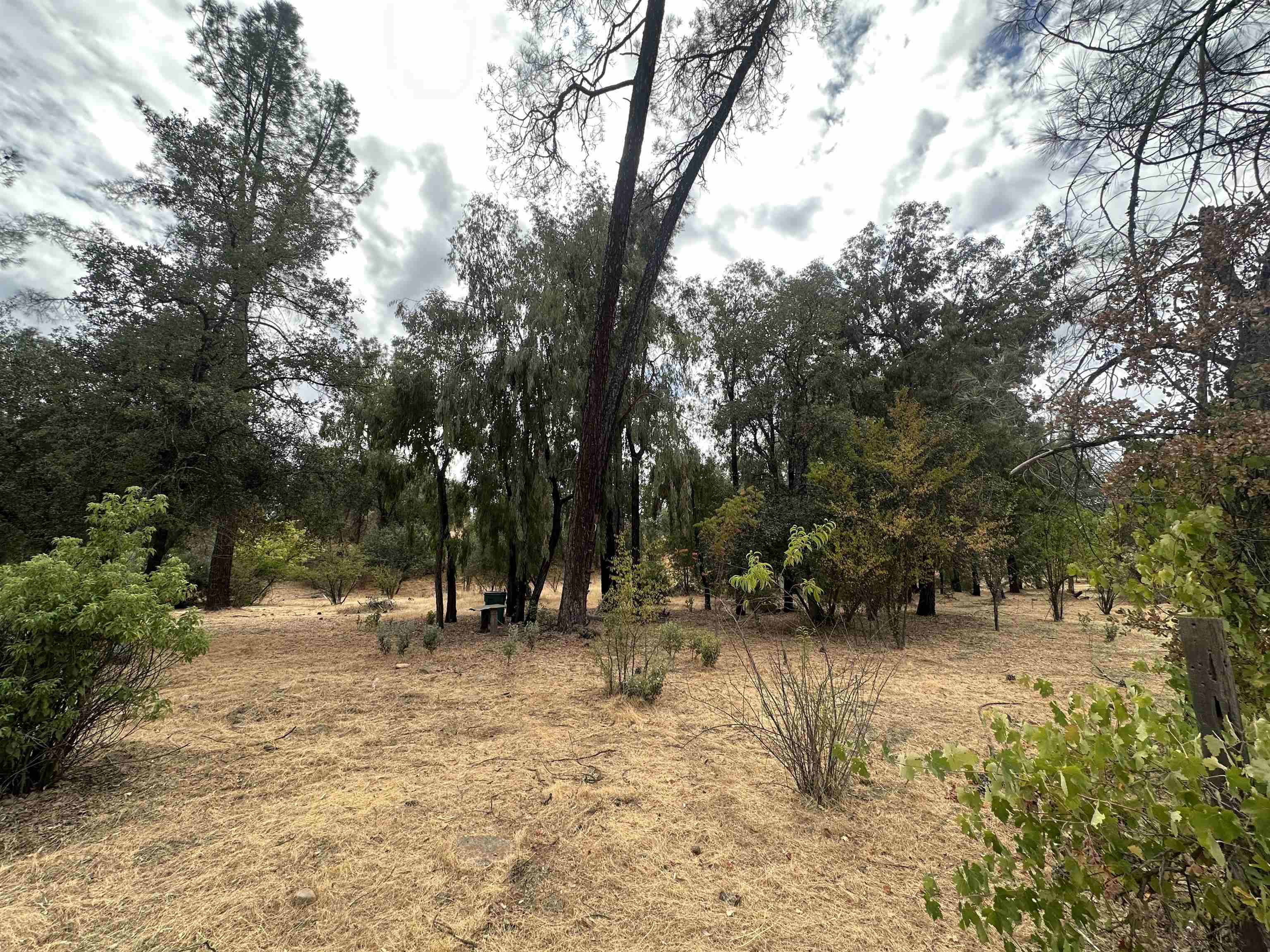 4733 Coyote Road Anderson, CA 96007 - Photo 4 of 5