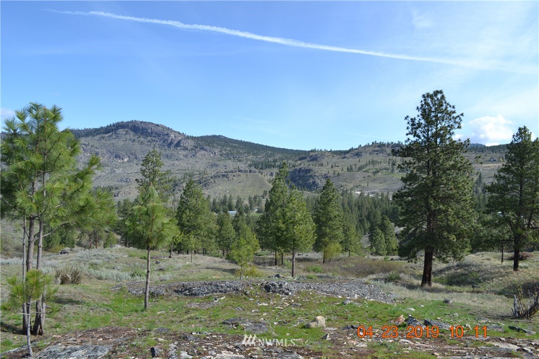 49 Overland Road South Oroville, WA 98844 - Photo 14 of 18 Gallery Image 14