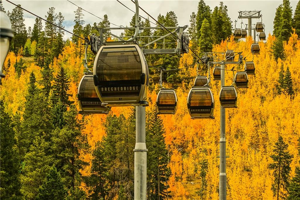 202 Cucumber Creek Road Breckenridge, CO 80424 - Photo 11 of 28 a blue sign sitting on the side of blue wall