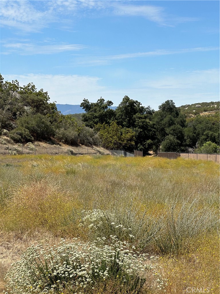 38700 Thomas Road Hemet, CA 92544 - Photo 1 of 30 View of parcel.