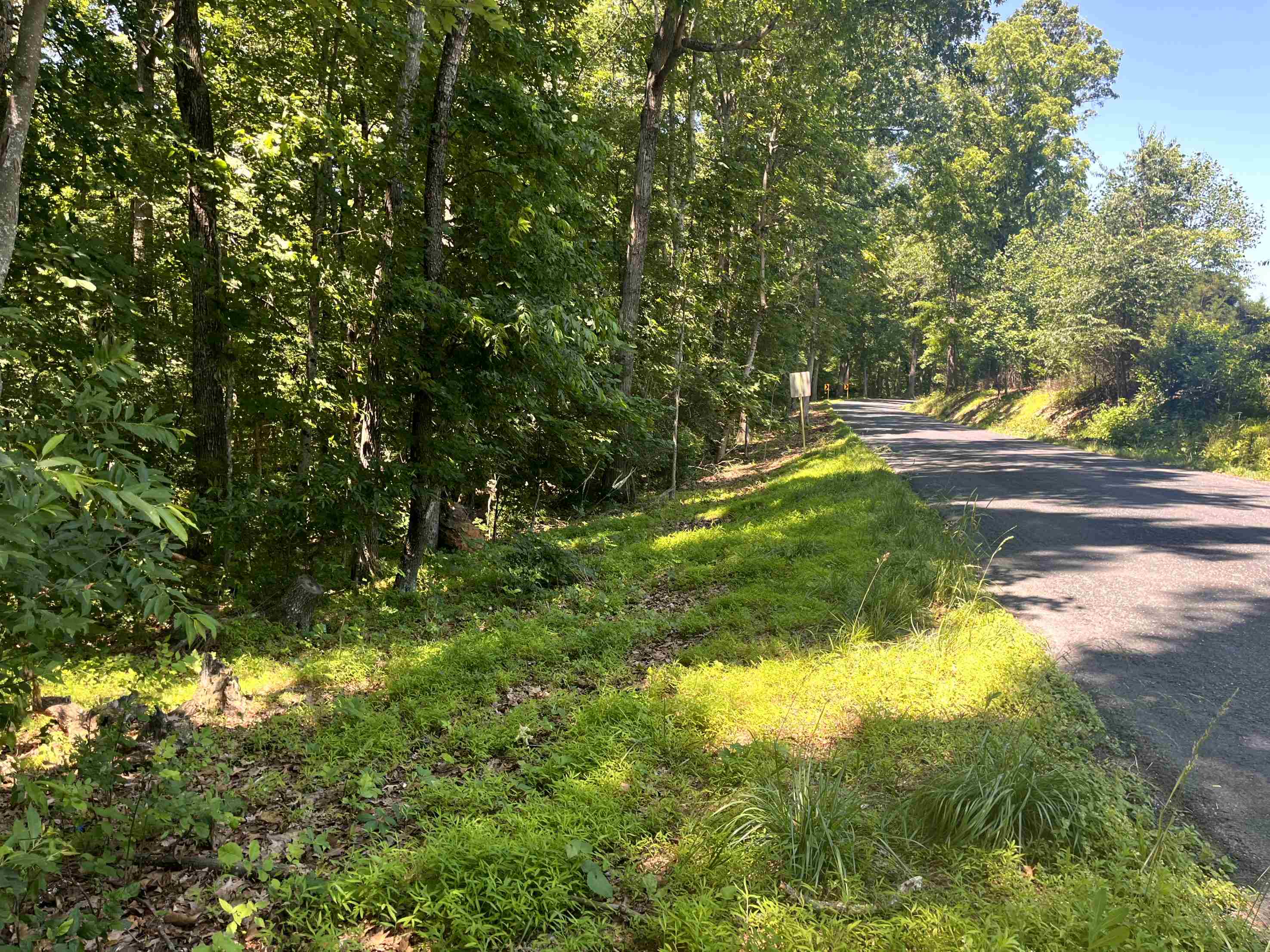 Tbd Spottswood Road Raphine, VA 24472 - Photo 2 of 11