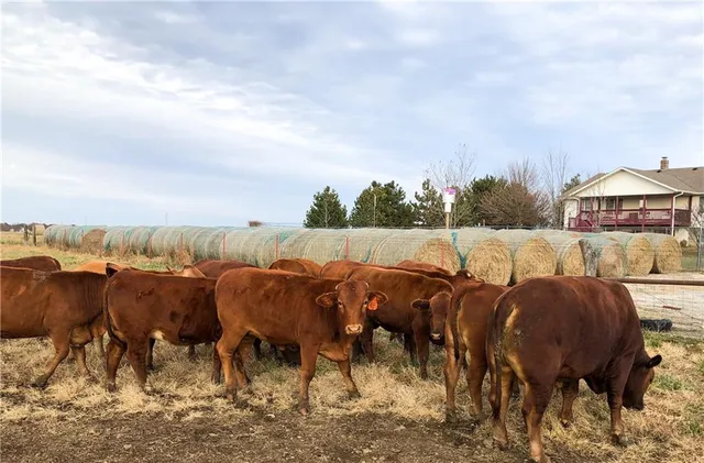 $1,290,000 | 619 North N Highway, Lamar, MO 64759