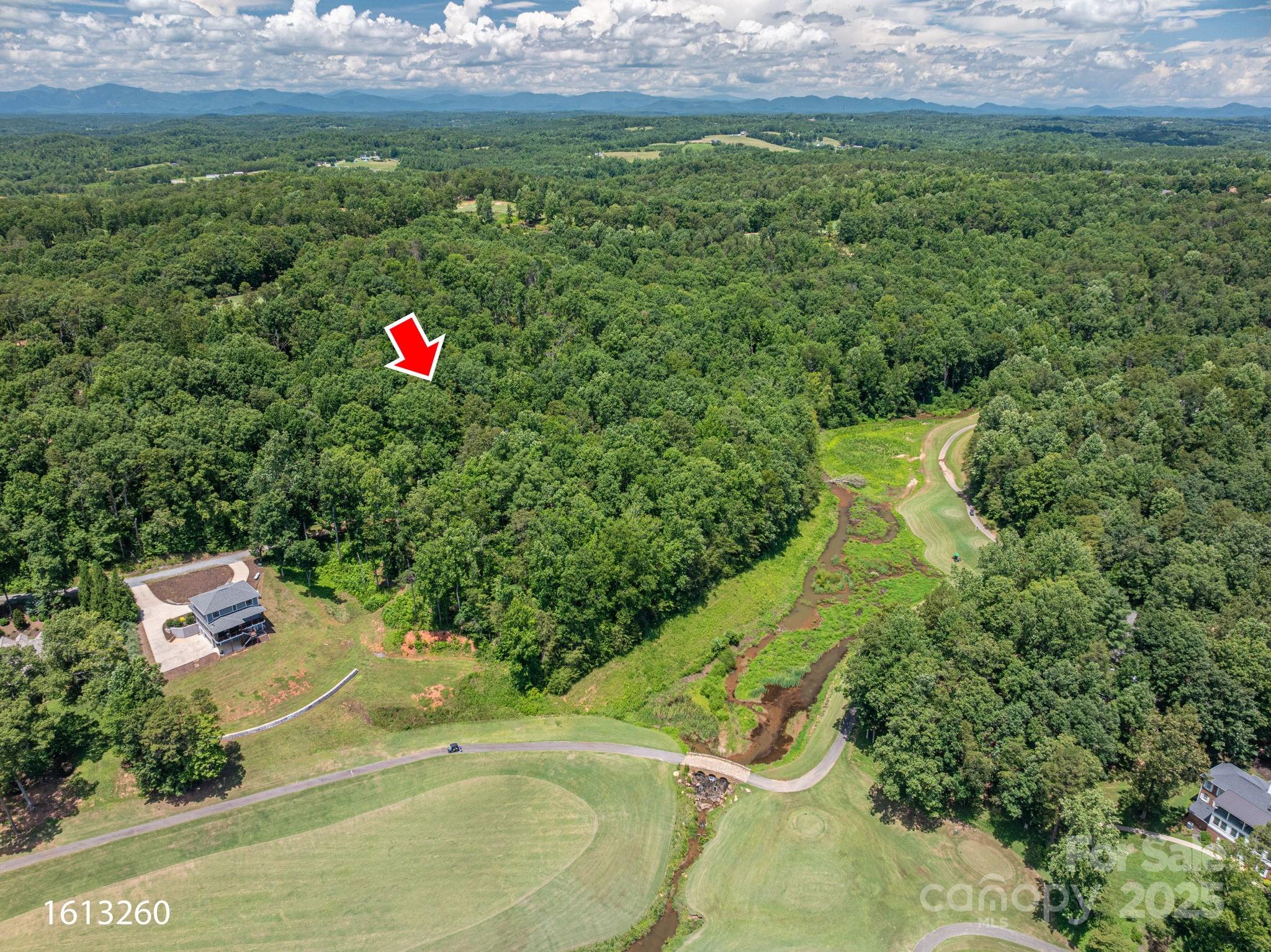 Lot 210 Plantation Drive Rutherfordton, NC 28139 - Photo 7 of 9 a view of outdoor space and garden