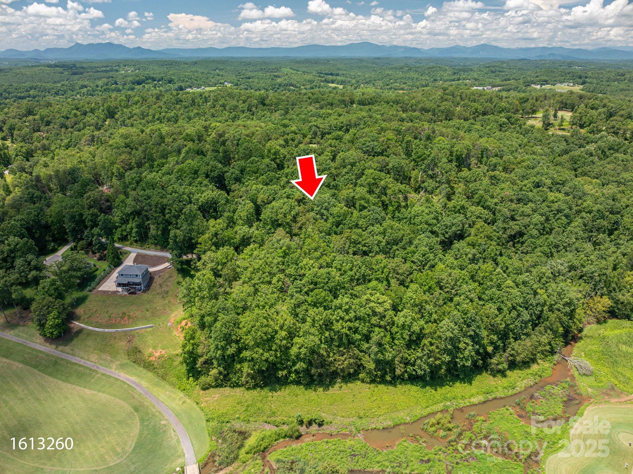 Lot 210 Plantation Drive Rutherfordton, NC 28139 - Photo 8 of 9 a view of a green yard