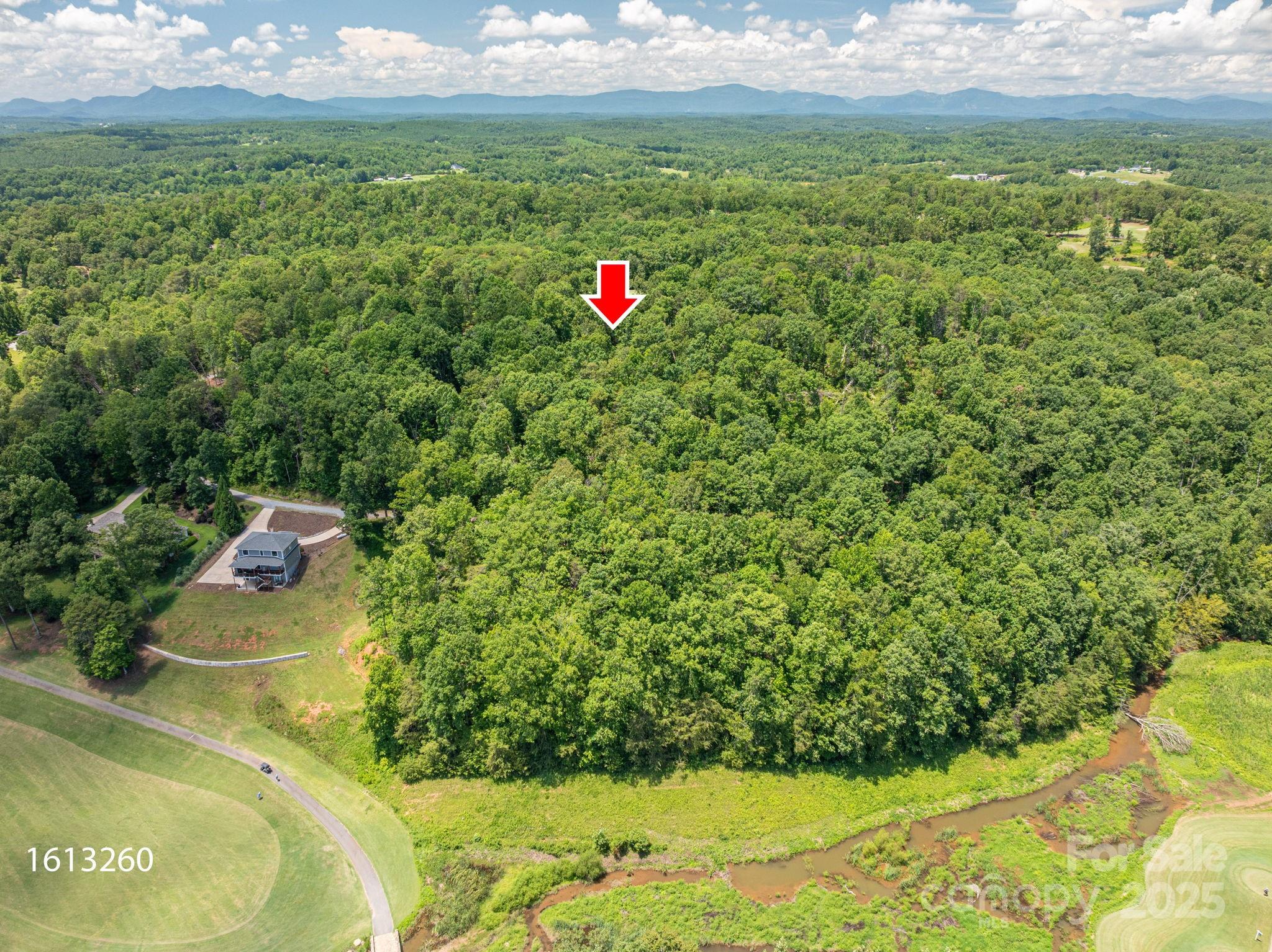 Lot 210 Plantation Drive Rutherfordton, NC 28139 - Photo 9 of 9 a view of a outdoor space and a yard