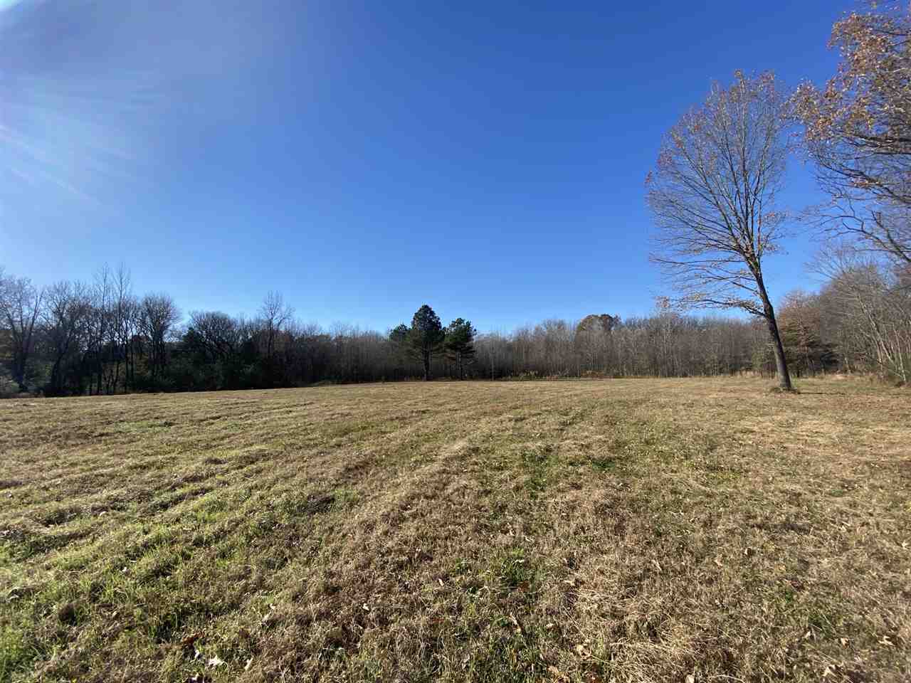3 Lagrange Road Somerville, TN 38068 - Photo 4 of 14 Gallery Image 4
