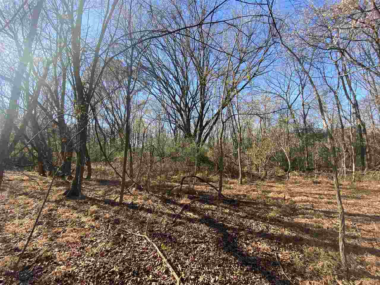 3 Lagrange Road Somerville, TN 38068 - Photo 7 of 14 Gallery Image 7