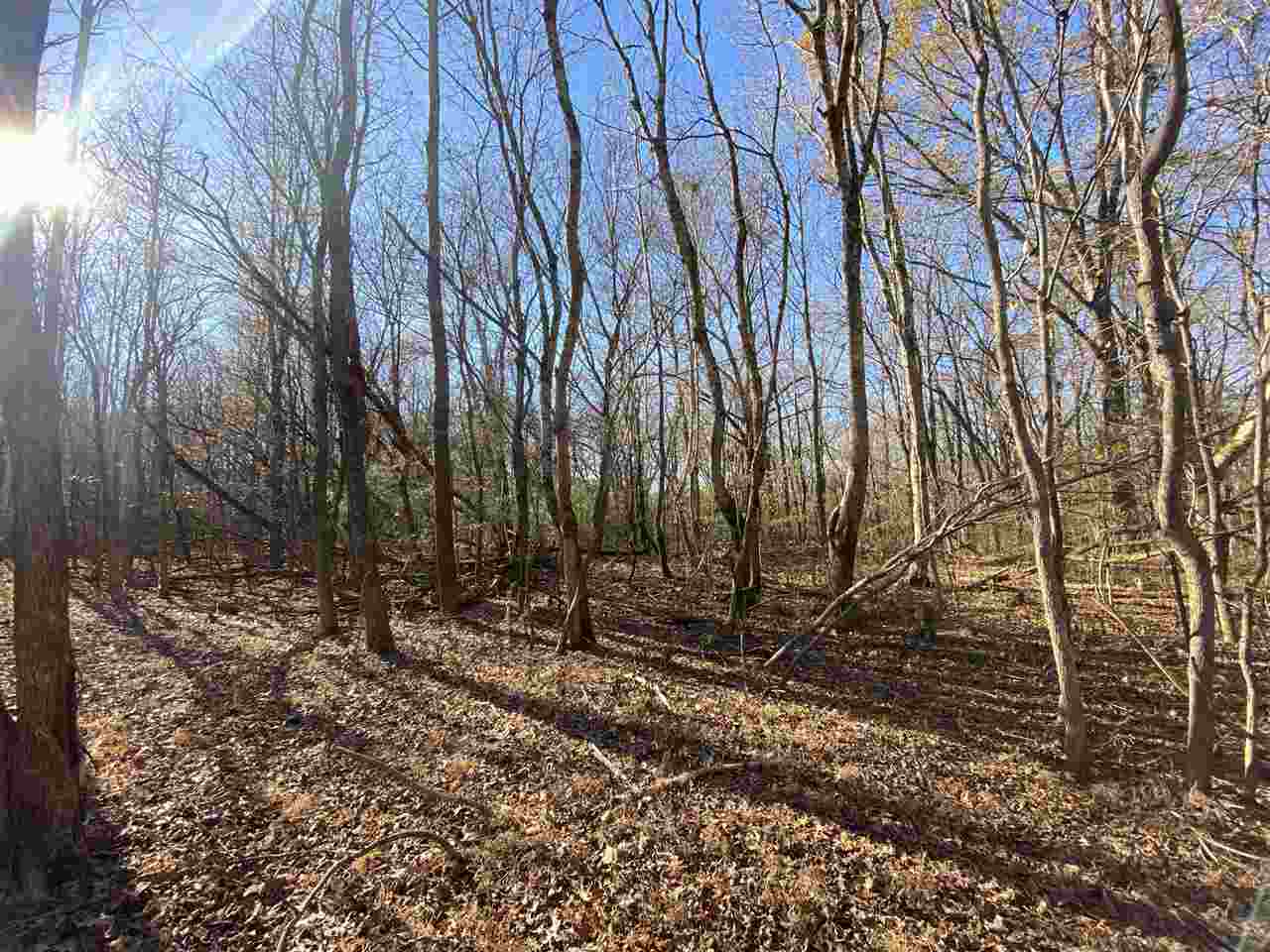 3 Lagrange Road Somerville, TN 38068 - Photo 9 of 14 Gallery Image 9