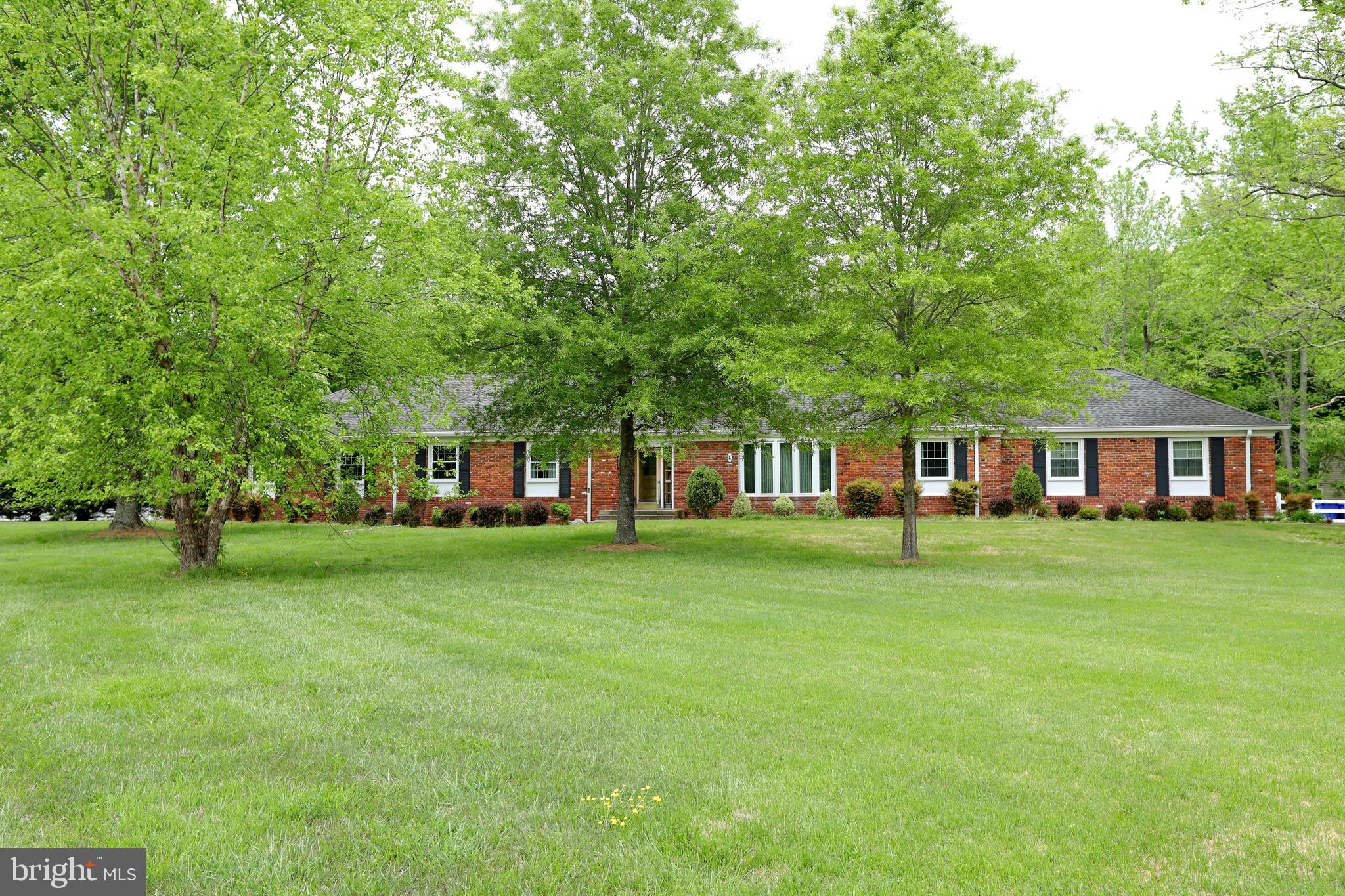 Main entrance / Front yard