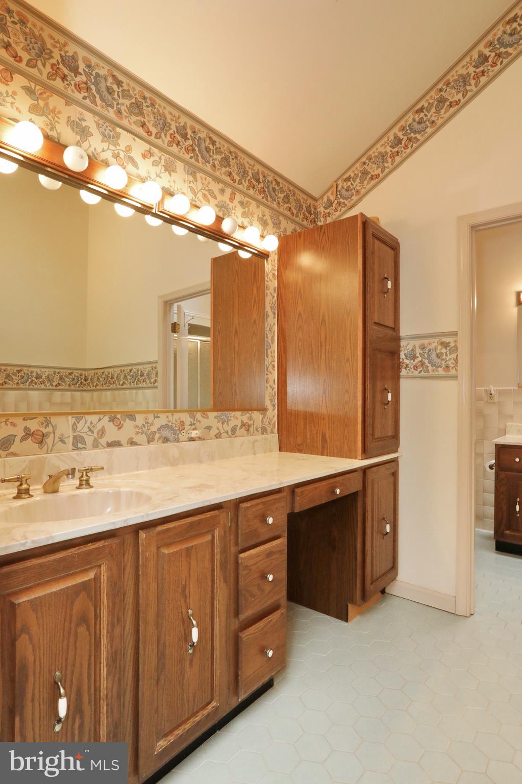 9154 Preference Drive La Plata, MD 20646 - Photo 39 of 65 Full bath in primary suite