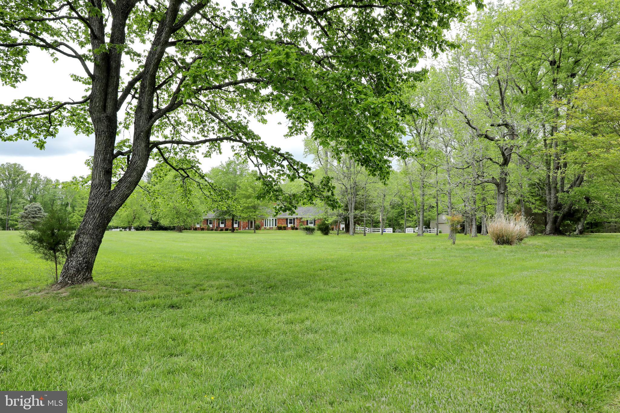 9154 Preference Drive La Plata, MD 20646 - Photo 4 of 65 Front yard